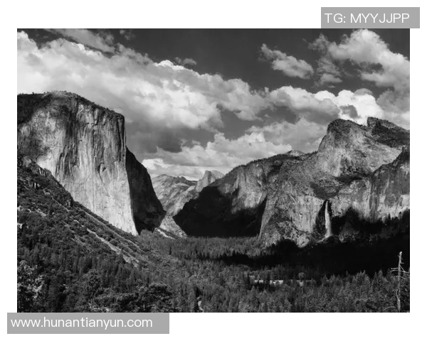 亚当斯的传奇人生与不朽贡献：探索科学与人文的交汇点