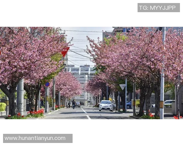 日联杯激战樱花对决札幌争夺晋级名额精彩回顾