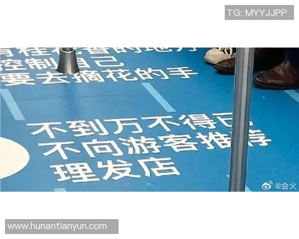 杭州极限运动队的包夹革新探索与实践全景解析